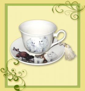 Teetasse mit Untertasse Design Katzen