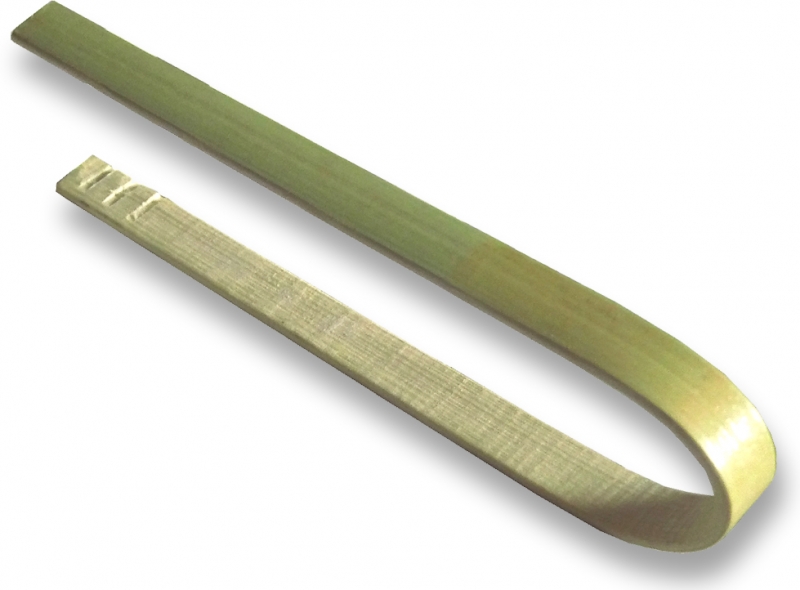 rutau bambus Bambus Aureocaulis (Phyllostachys aureosulcata 'Aureocaulis') | 125-150 cm  im Topf
